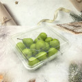 Plastic PET Fruit Blister Clamshell Box Packaging